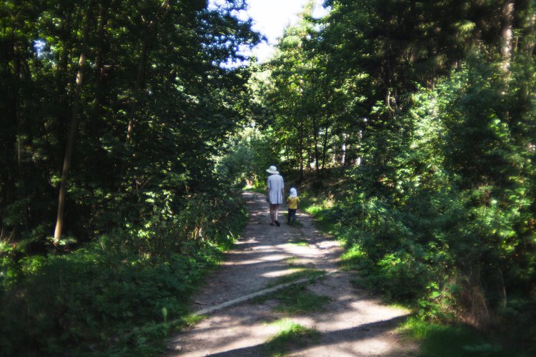 Eine Frau und ein kleines Kind spazieren tagsüber auf einem schattigen Waldweg.